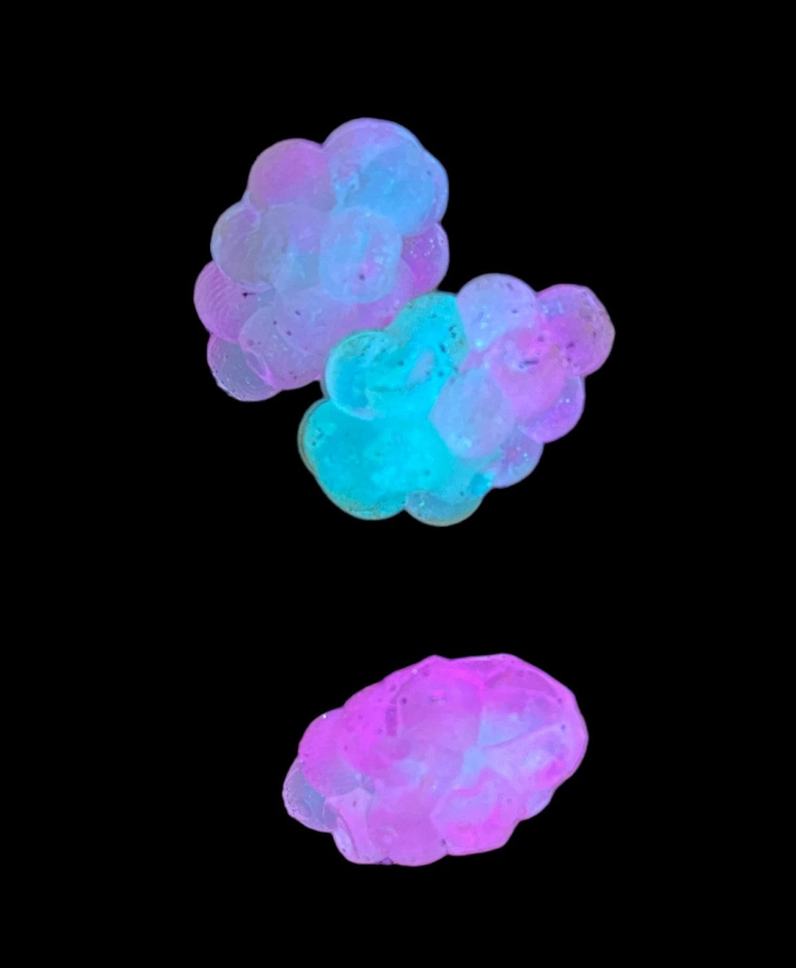 Photo of three Crazy Stinger soft beads under UV light, this is what the fish see when you use our Crazy beads and worms